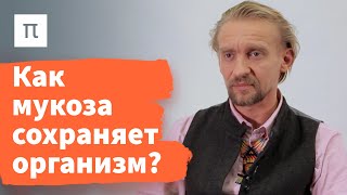 Микробы кишечника и здоровье — Дмитрий Алексеев 