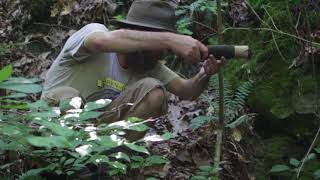 Exploring a Lost Silver Mine in the Shawnee National Forest