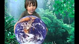 BIOCOMBUSTIBLES UNA ALTERNATIVA