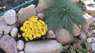 ✿➽ Горки и икэбаны. Детали дизайна Романовой дачи. Дизайн дачного участка ✿ℛомановаДача