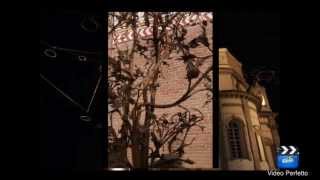 ElenaTURIN Ваш Гид в Турине. МАГИЯ ТУРИНА