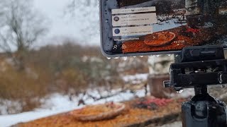 Yoll's добрый stream из Совиного дола. Первый в этом сезоне с птичками
