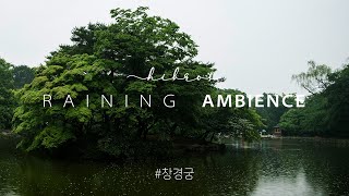 Raining, Changgyeonggung Pond - Relaxing Video | 비내리는 창경궁 춘당지