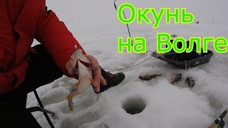 Ловля Окуня зимой на Волге