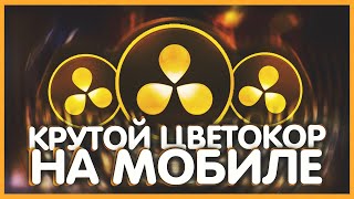 КАК СДЕЛАТЬ ТОПОВУЮ ЦВЕТОКОРРЕКЦИЯ НА ТЕЛЕФОНЕ?!