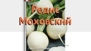 Редис обыкновенный Моховский (mokhovskiy) ? Моховский обзор: как сажать, семена редиса Моховский