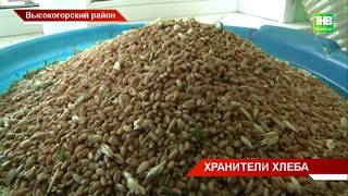 Хранители хлеба Куркачинского элеватора - ТНВ