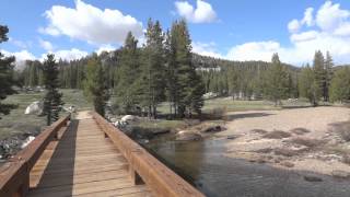 Tuolumne Meadows & Tenaya Lake in Yosemite National Park