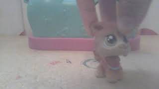 Lps: My Life as a preteen werewolf preview