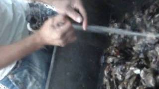 Mariscos em Itapema