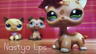 LPS: Между огнем и водой  (9 серия 1 сезон)