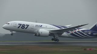 ANA Boeing 787 JA801A - Okayama Airport【OKJ/RJOB】 -