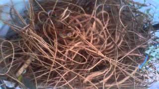 Geridönüşümcüler İstanbul Plastik Kağıt hurdası alan hurdacılar 0538 568 25 48