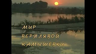 Мир вертлявой камышевки. Документальный фильм