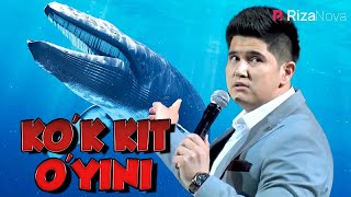 Dizayn jamoasi a'zosi Sa'dulla Fatxullayev - Ko'k kit o'yini