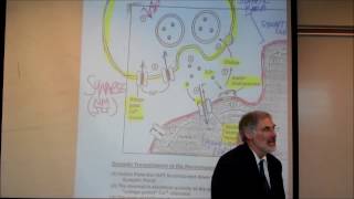 PHYSIOLOGY; THE NEUROMUSCULAR JUNCTION by Professor Fink
