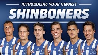 Introducing your newest Shinboners