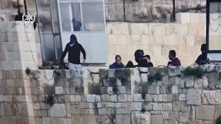 Беспорядки в Иерусалиме. Оперативная съемка