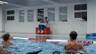 Аквааэробика, конвенция Красногорск -август 2018г, aqua fitness