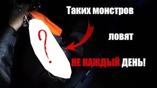 ЗУБАСТИКИ  НОЧЬНЫЕ  на ДОНУ