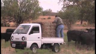 Mini truck