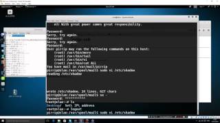 Kali Linux Series Episode 17 (using vi to root the box)
