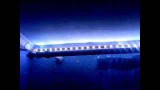 Ночник, или светодиодная подсветка своими руками.