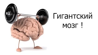 Гигантский мозг !