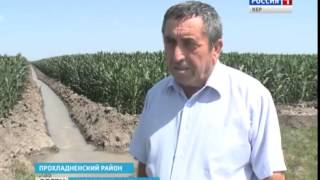 2015-07-16 Мелиорация — ключевой инструмент повышения объемов производства