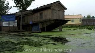Kashmiri Houseboats in Srinagar!