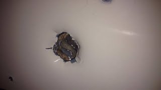 Glory Holes In This College Library Bathroom Has Gotten Out Of Hand