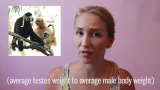 Male Mating Strategies