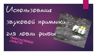 Использование звуковой приманки для ловли рыбы