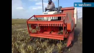 УБОРКА ФАСОЛЬ 2016✔Комбаин KUBOTA✅ТРАКТОР МТЗ 82