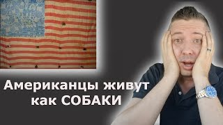 Американцы живут как СОБАКИ / Америка - полный отстой