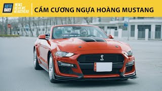 "Cầm cương ngựa hoang" Ford Mustang khi đã "lên đồ" - Cảm giác hoang dại