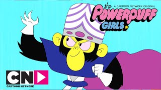 Суперкрошки | Игрушечная уловка | Cartoon Network