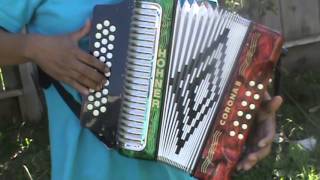 Accordion Honner Corona II Classic En Venta !!