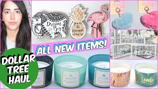 DOLLAR TREE HAUL JULY 2018