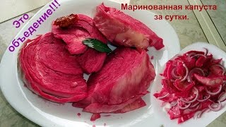 Очень вкусная, домашняя, маринованная капуста за сутки.