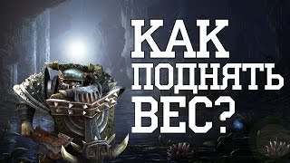 Как поднять вес??? Panzar - минигайд