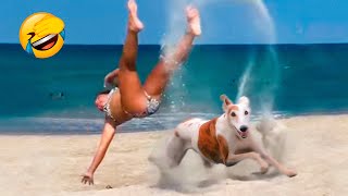 Best Funny Animal Videos 2022 - Funniest Dogs And Cats Videos