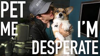 I LOVE MY DOG | Pet Me I'm Desperate 2