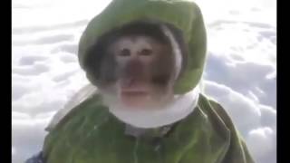 Мы маленькие дети, нам хочется гулять...