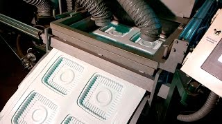 Автоматическая термоформовочная машина для блистерной упаковки. Automatic blister machine.