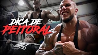 TREINO DE PEITORAL | DICAS DO HORSE