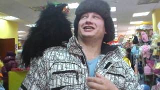 Ручная ворона.
