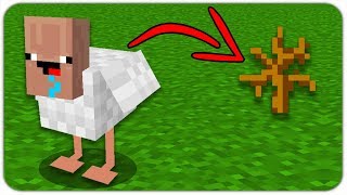ГДЕ НАЙТИ КУРИЦУ НУБИКА в МАЙНКРАФТ? КАК СДЕЛАТЬ МУТАНТА в MINECRAFT?
