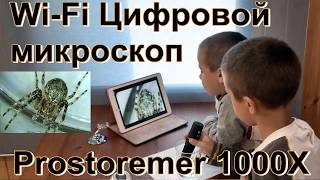 WiFi Электронный микроскоп Prostoremer 1000X. Развитие детей. Осторожно пауки.