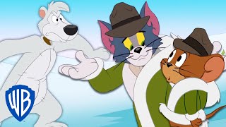 Tom y Jerry en Español ???????? | Deslizándose por la nieve